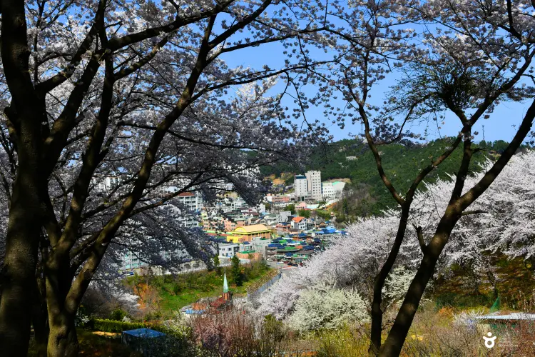 봉황산