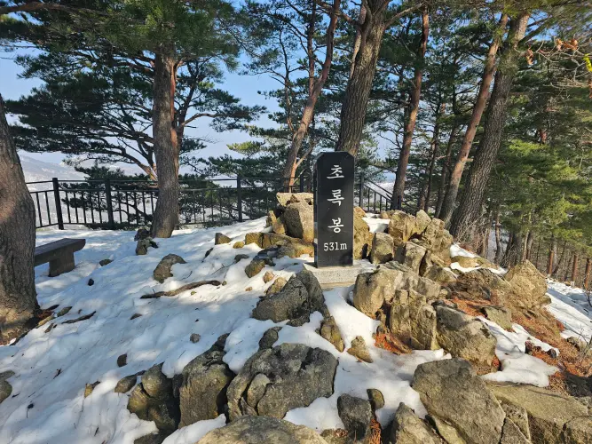 초록봉