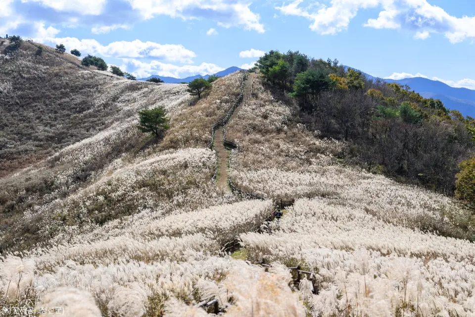 민둥산
