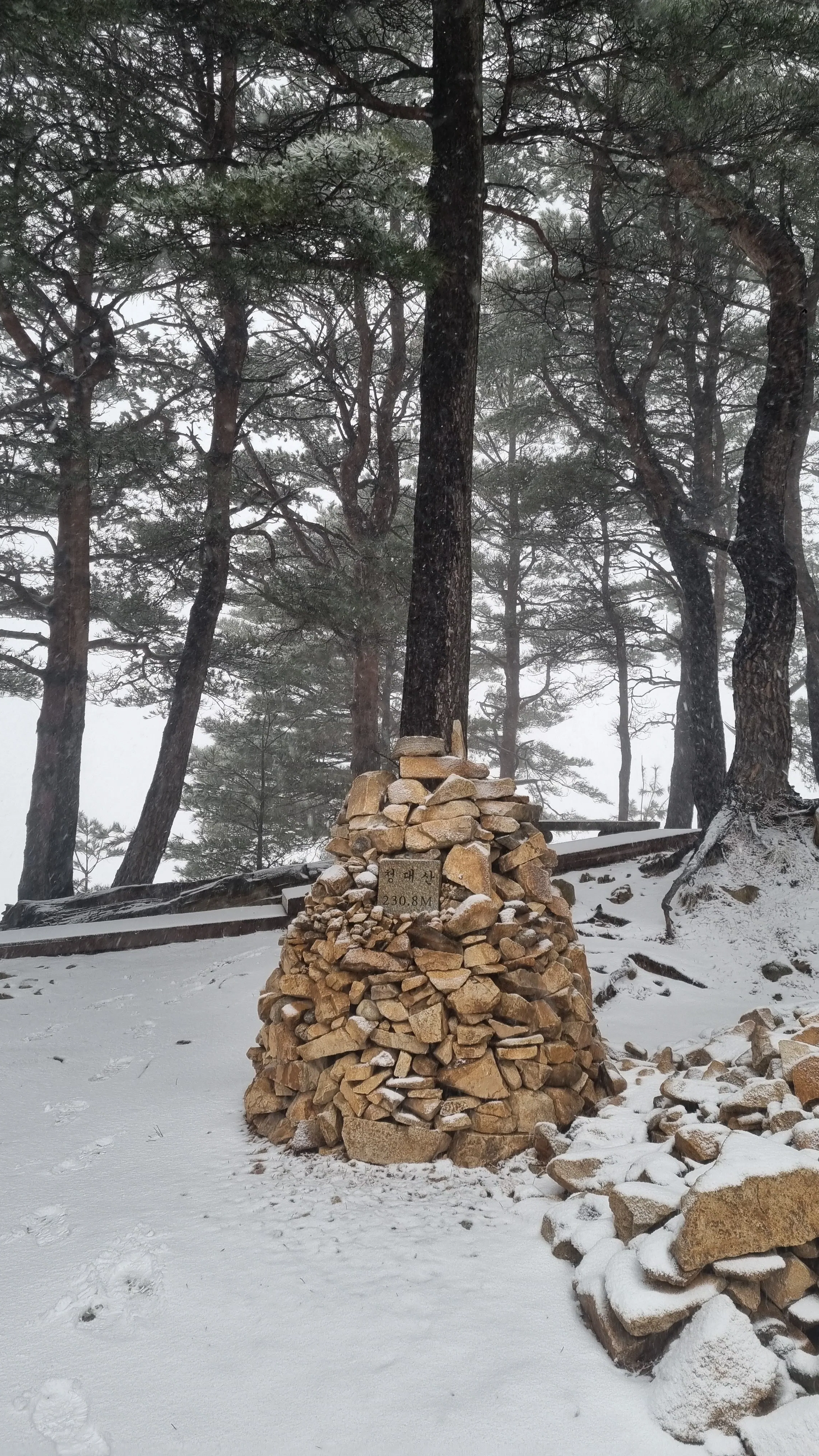 청대산